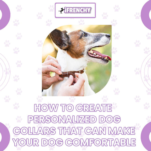 How to Create Personalized Dog Collars That Can Make Your Dog Comfortable
