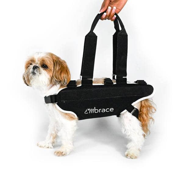 Animal Ortho Care embrace lift support - Small - Pain 