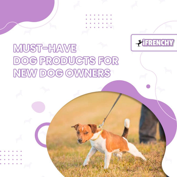 Must-Have Dog Products For New Dog Owners