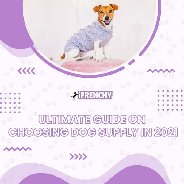 Ultimate Guide On Choosing Dog Supply in 2021