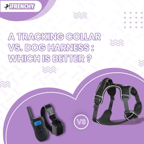 A Tracking Collar Vs. Dog Harness: Which Is Better?