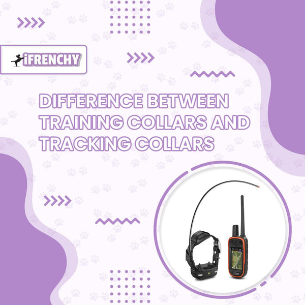 Difference Between Training Collars and Tracking Collars