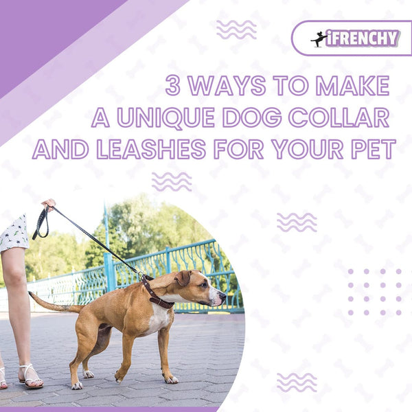 3 Ways to Make A Unique Dog Collar and Leashes for Your Pet