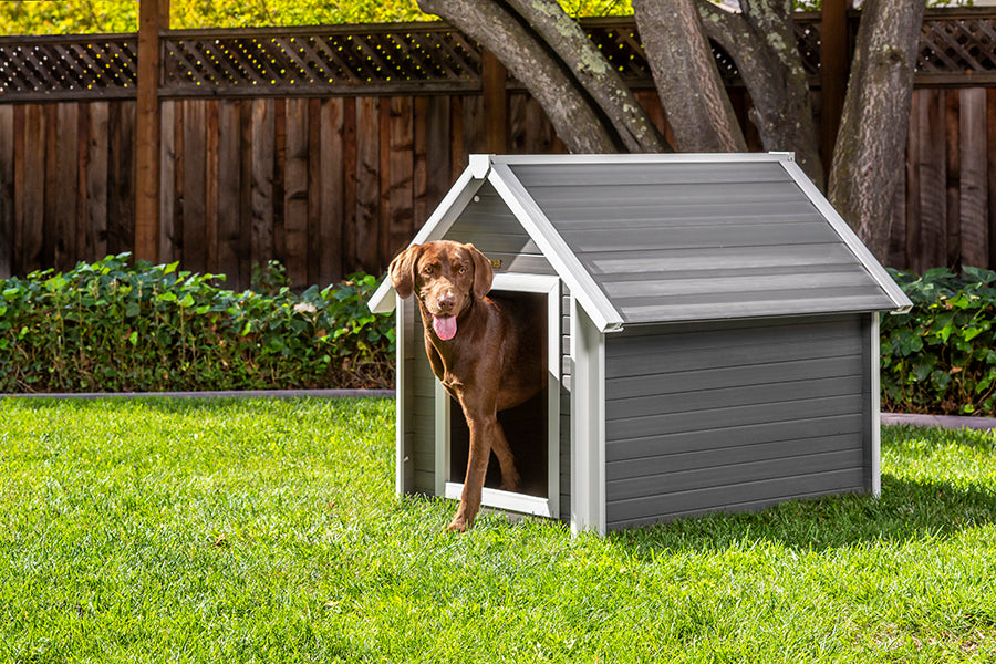 New Age Pet ECOFLEX Bunk Style Dog house Gray Large and XLarge