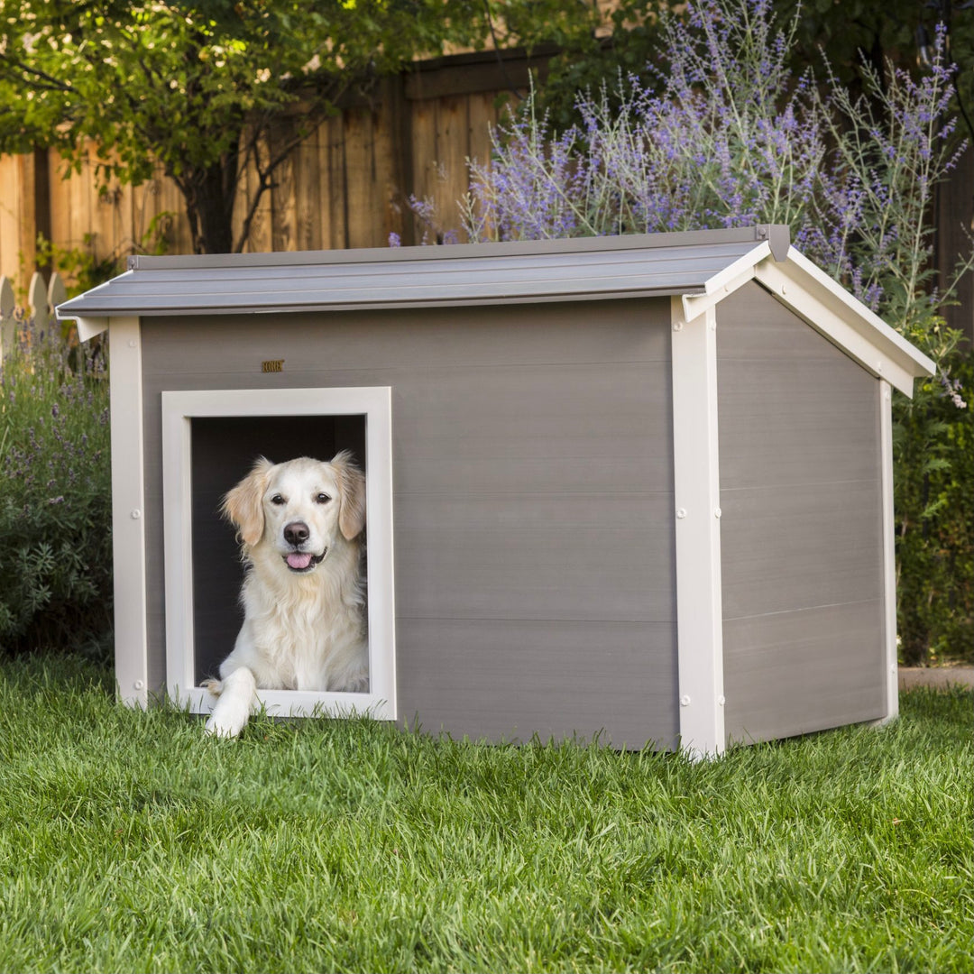 Ecoflex thermocore ii super insulated dog house hotsell