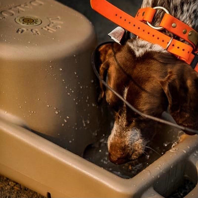 Dakota 283 Dash 5.0 Watering System Portable Dog Water Bowl