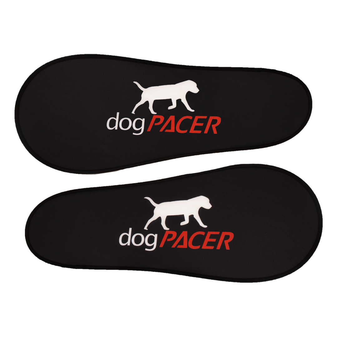 DogPacer 4.0 -Bluetooth Edition Dog Treadmill