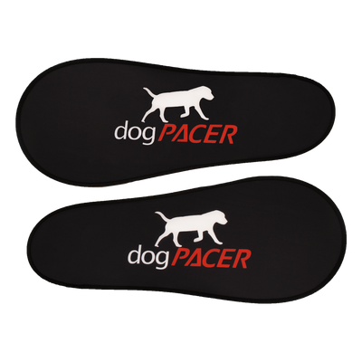 DogPacer LF 4.0 Treadmill