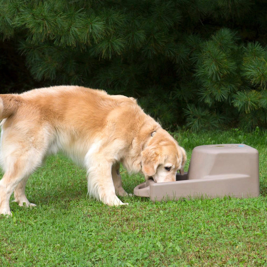 Dakota 283 Dash 5.0 Watering System Portable Dog Water Bowl