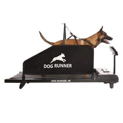 Dog Runner Treadmill Tracks