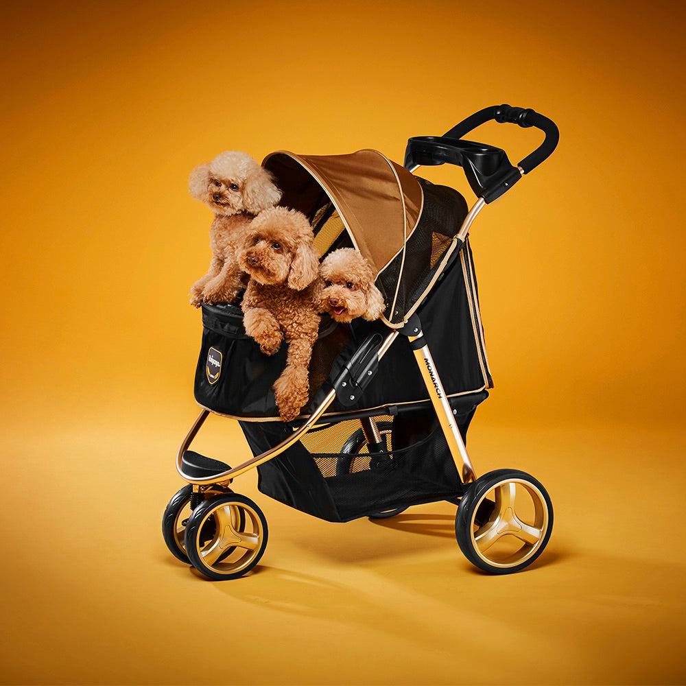 Ibiyaya Monarch Premium Pet Jogger – Luxury Gold