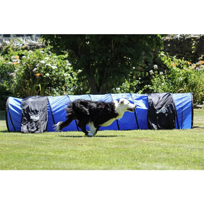 Better Sporting Dogs 3 Piece Essential Dog Agility Equipment