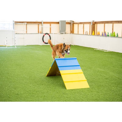 Better Sporting Dogs Practice A Frame Agility Equipment 0228