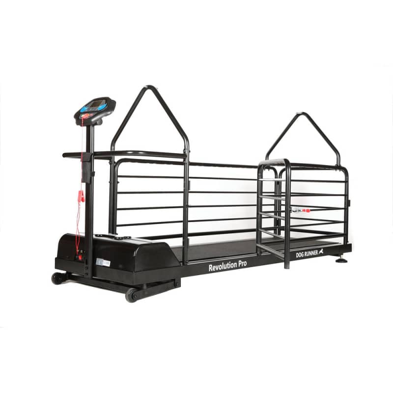 Dog Runner Revolution Pro Electric Treadmill - Fitness