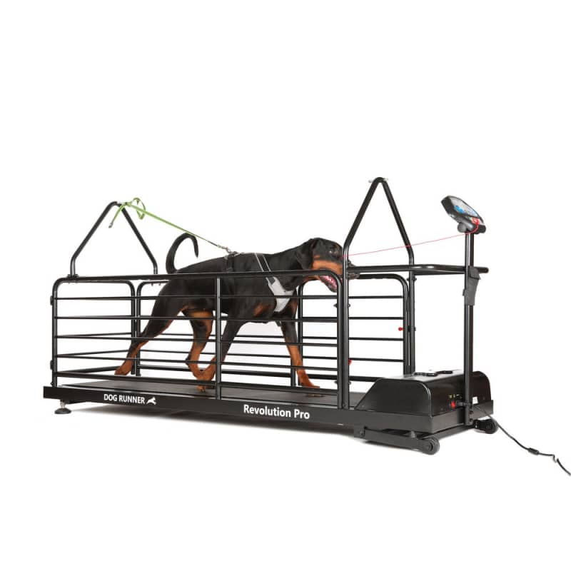 Dog Runner Revolution Pro Electric Treadmill - Fitness