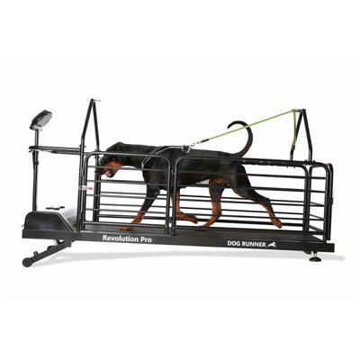 Dog Runner Revolution Pro Electric Treadmill - Fitness