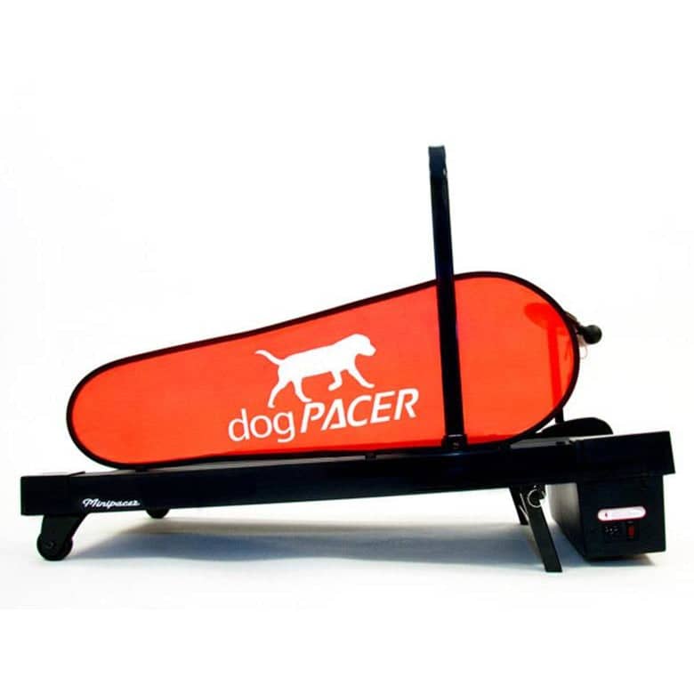 DogPacer Mini Pacer Treadmill - Fitness