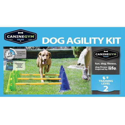 FitPAWS CanineGym Gear Agility Kit.