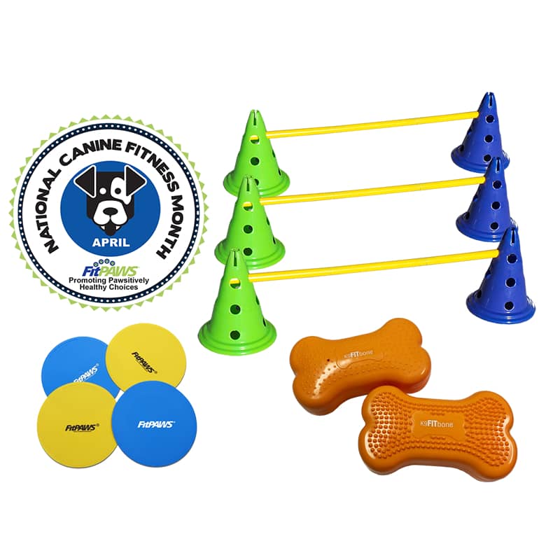 FitPaws National Canine Fitness Month KIT - Fitness