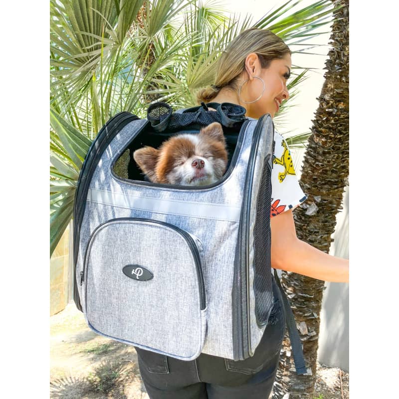 Petique The Backpacker Pet Carrier - Pet Carrier